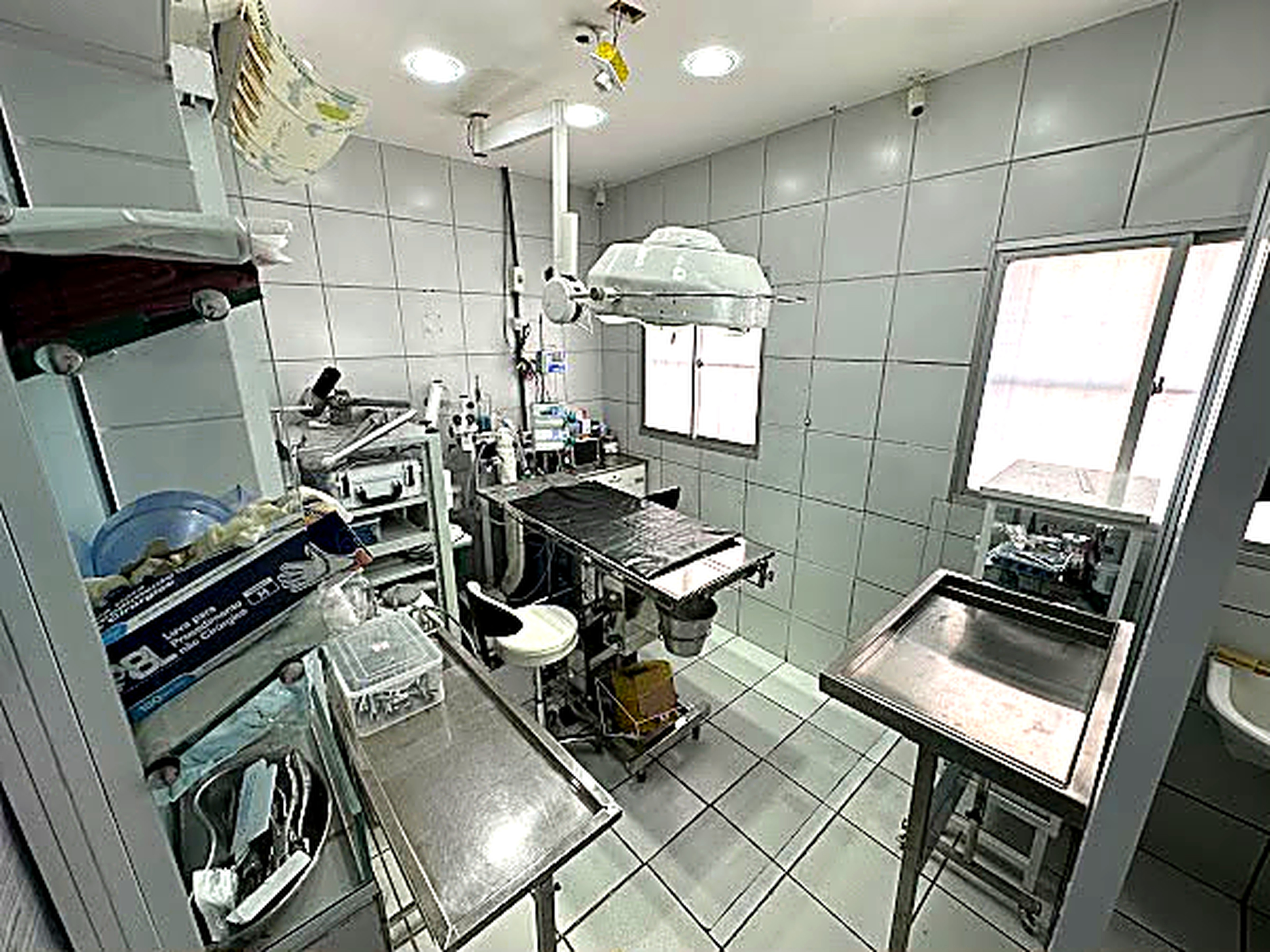 🏥 Cirurgias veterinárias