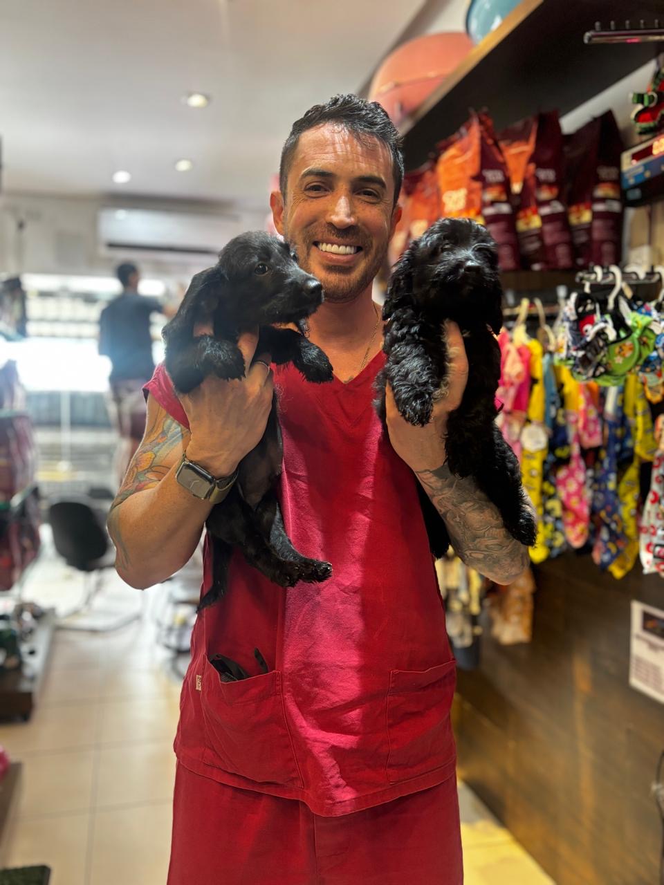 Fotos reais do Paraíso dos Pet’s