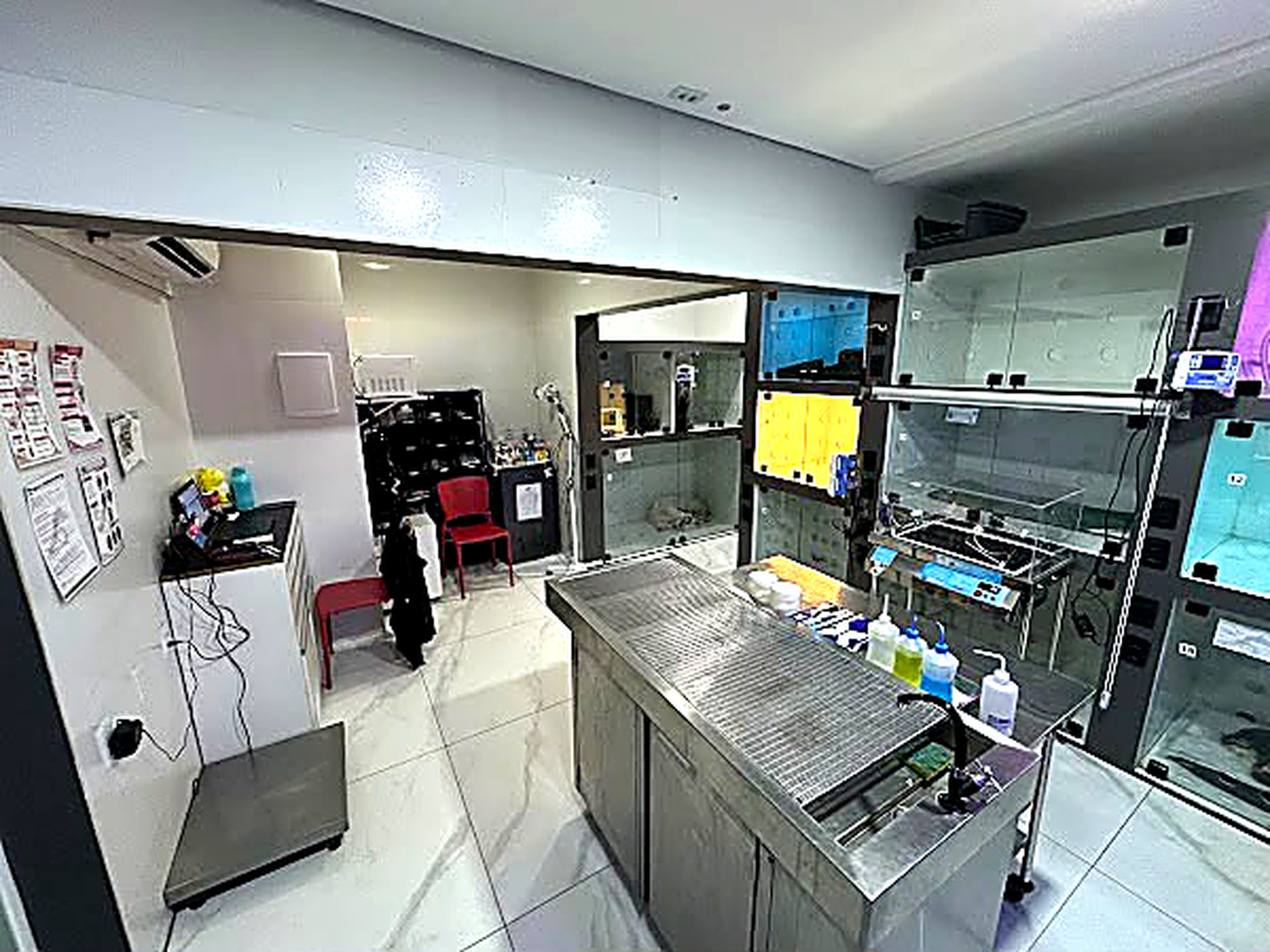 Estrutura clinica